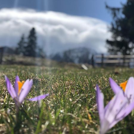 Geovita Zakopane Buitenkant foto