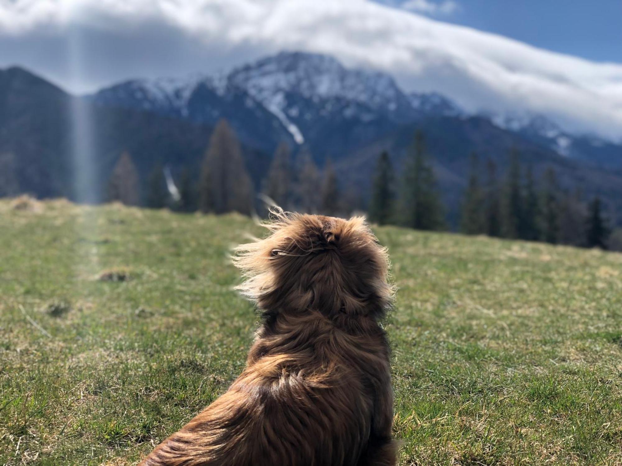 Geovita Zakopane Buitenkant foto