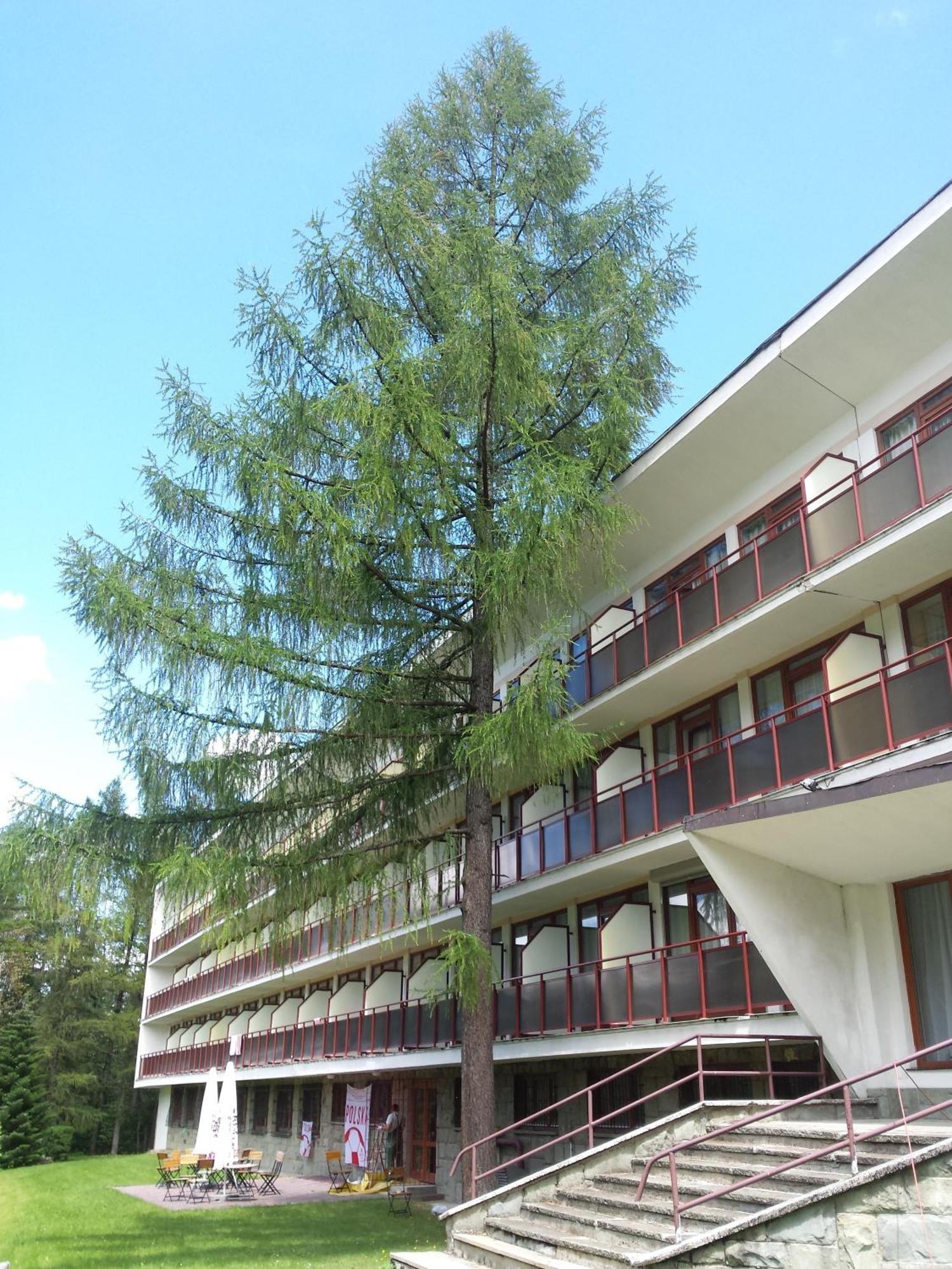 Geovita Zakopane Buitenkant foto