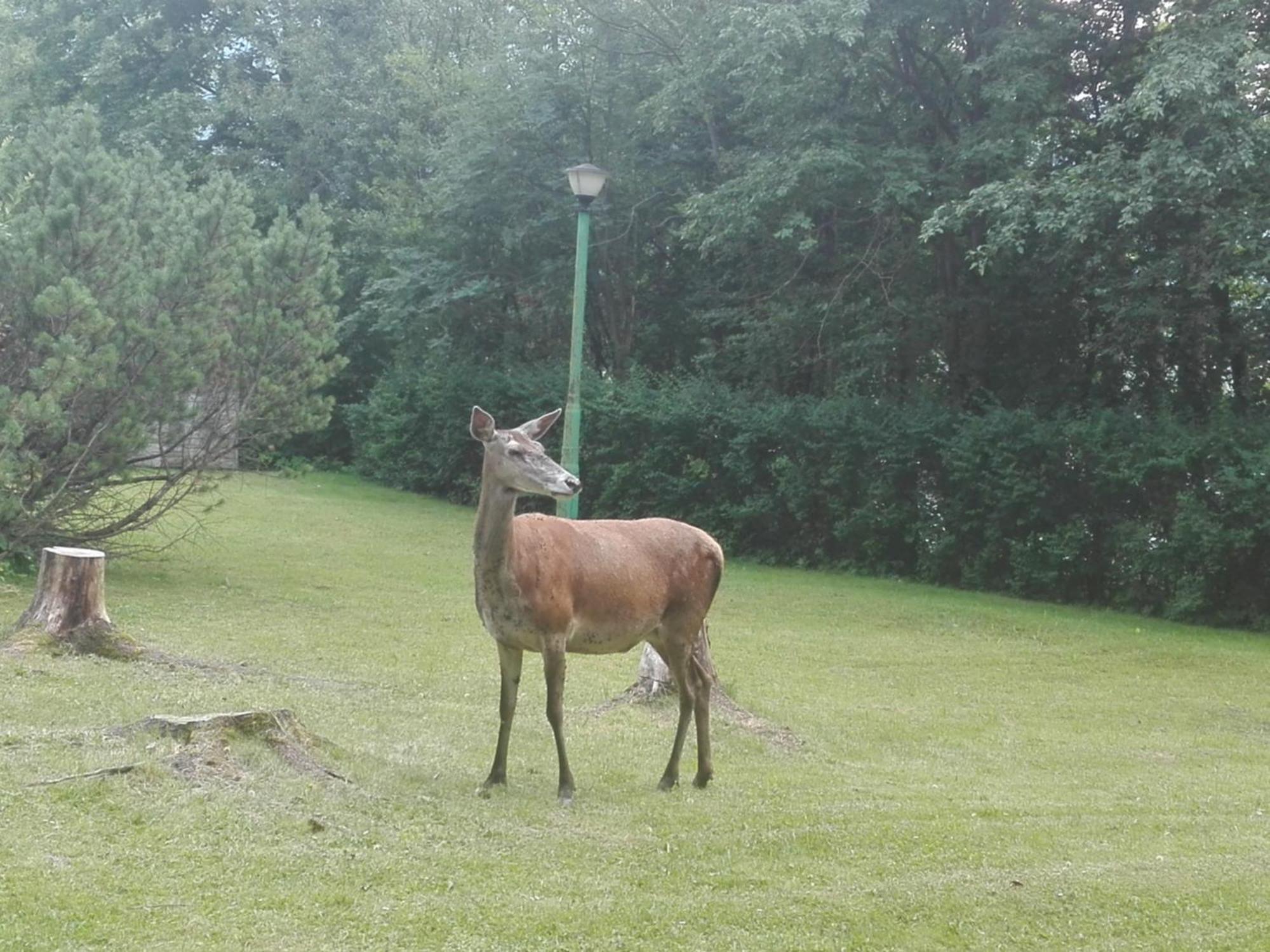 Geovita Zakopane Buitenkant foto